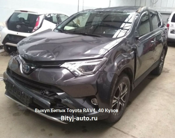 Выкуп Битых Toyota RAV4, 40 Кузов