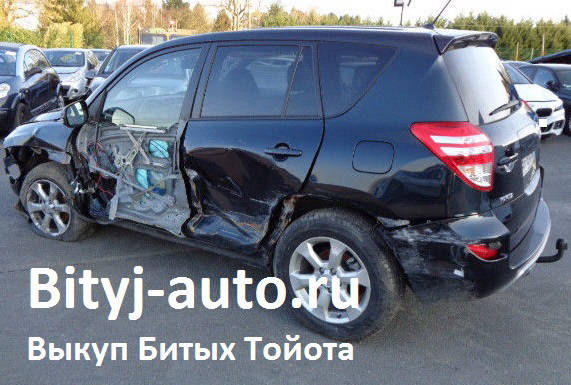 на фото: Toyota RAV 4 III (XA30) аварийная вся левая сторона, кузов не пошел